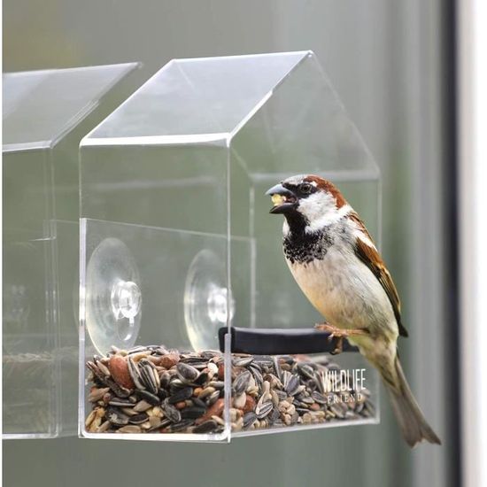 Mangeoire à oiseaux avec fenêtre - transparente - avec chaîne en métal et  ventouses - distributeur de nourriture pour oiseaux[A191] - Cdiscount