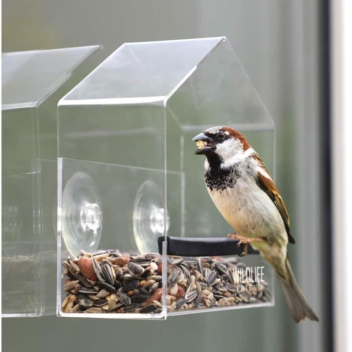 Mangeoire à oiseaux à fenêtre transparente avec ventouse et caméra Wifi avec  carte tf 16go - Abreuvoirs et mangeoires (9755086)