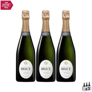 CHAMPAGNE Champagne Brut Héritage Blanc - Lot de 3x75cl - Champagne Brice - Cépages Pinot Noir, Chardonnay