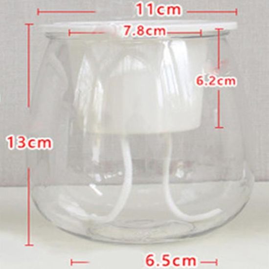 OGANAZI Mini Terrarium En Verre – Dôme Transparent Avec Aération 3 Mm – Idéal Pour Succulentes Et Décoration Naturelle