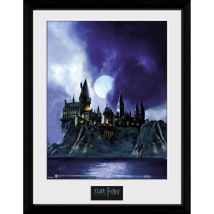 Photographie encadree Harry Potter Hogwarts Painted 40 x 30 cm
