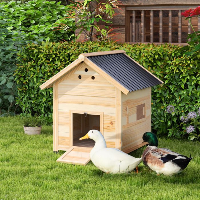 Poulailler en bois pour canards abri pour canards toit ouvrant double porte 78 x 90 x 92 cm effet bois naturel
