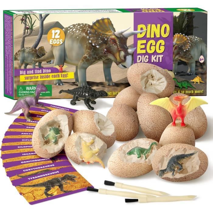 Oeufs de Dinosaure Trousse de Fouille, 12 Dinos Différents, 6 Ans