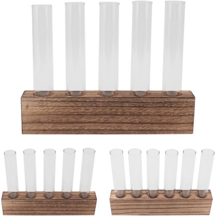 Terrarium De Plantes Avec Support En Bois, Terrarium À Air De Bureau