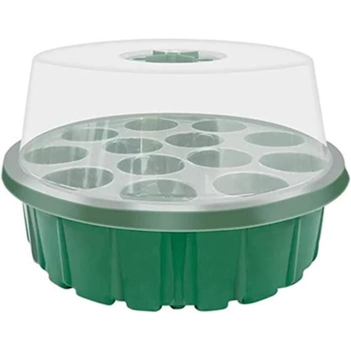 Graines D’ail D’éléphant / Cormes Naturellement Cultivés 18