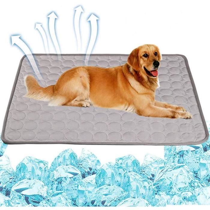 Tapis Rafraichissant - 70x55cm - Réutilisable - Marron - Pour Chien