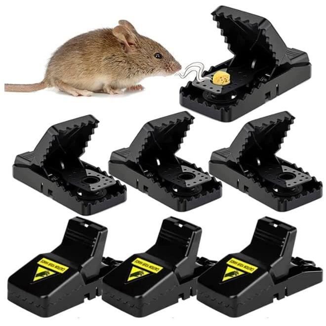FxindX Tapetteà Souris, 6 Pièces Piège à Rats, Mort aux Rats et Souris  Puissant, Anti Attrape Souris Efficace, Rat Trap Reutilisable Sensible pour