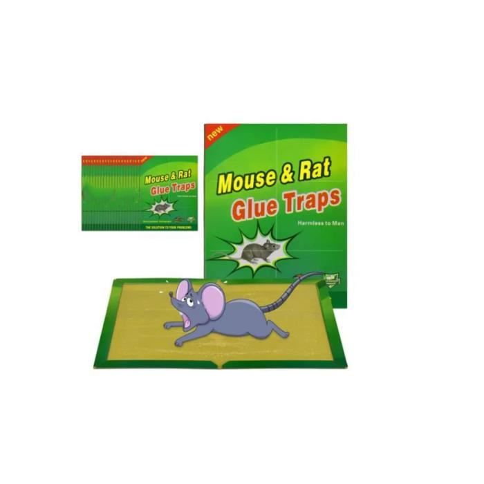 Pièges à Souris Et Rats Collants 22 Pièces - Plaques Glue Extra Fortes Anti Rongeurs