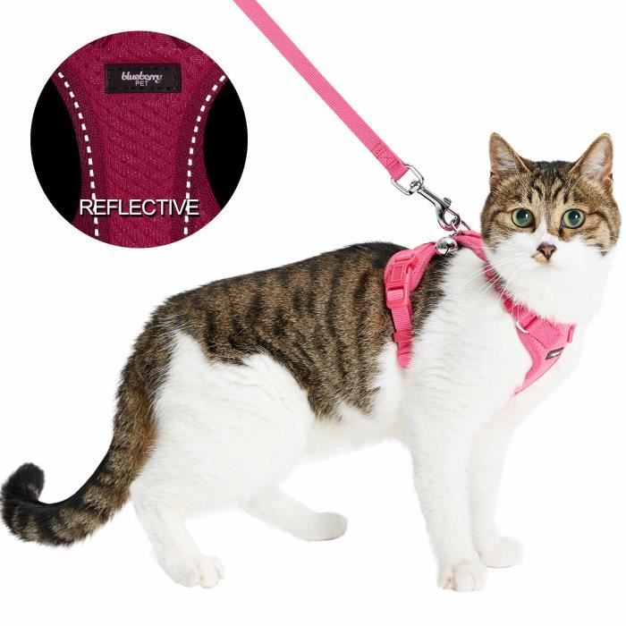 Harnais Gros Chat Cdiscount