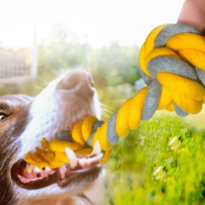Comparer les prix de Shipenophy Jouet Corde Chien Anti-Destruction pour Dental Nettoyage Moyen Grand Chiens