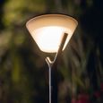 Balise solaire EZIlight® Solar peaky cup-1