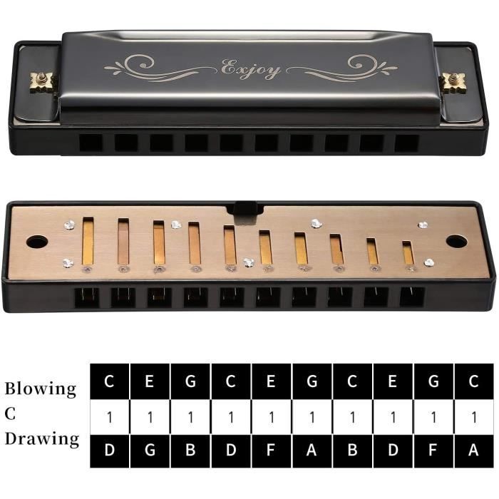 Harmonica 10 Trous,harmonica Diatonique Standard