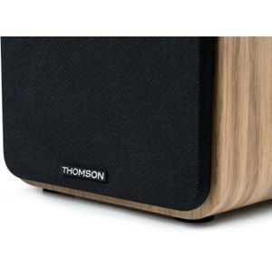 Enceinte TV Thomson 48FA5403 - Occasion En état De Marche - Quelques Traces D'usure