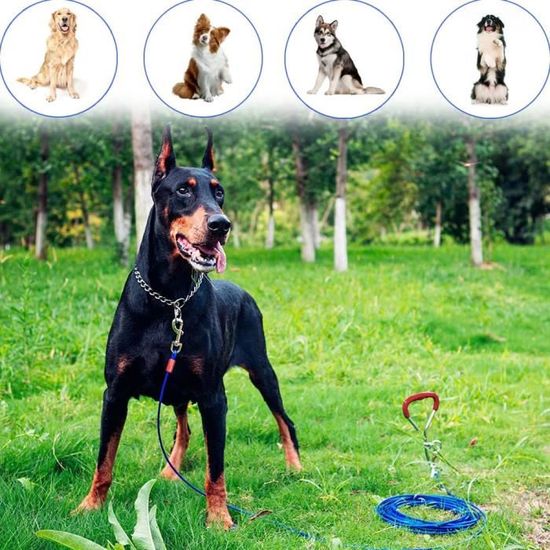 Tresbro Câbles d'attache Laisse Câble Laisse chaîne en métal pour Chien Pet Traction Corde pour Chiot Medium Chiens de Grande Taille jusqu'à 100 KG (9M