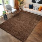 Tapis Salon Shaggy - Mylan - Marron - 200 x 290 cm - 100% Polypropylène - CARPETTEX