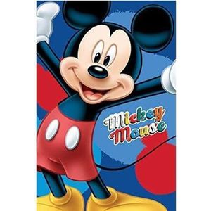 Sweat plaid - Mickey Mouse - Au Comptoir des Sorciers