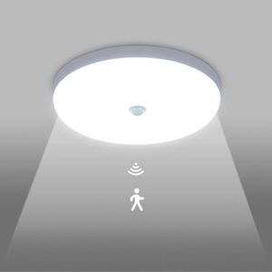 Elixir - Plafonnier LED à Détecteur de Mouvement, Lampe de Plafond  Intérieure Super Lumineuse à Piles, pour Grenier, Buanderie, Garage,  Couloir, Escalier, 18,3cm 300LM N lumière chaude - Plafonniers - Rue du  Commerce