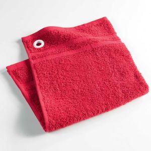 Lot De 2 Essuie-mains éponge 50x50 Cm Menthe | 100% Coton Uni, Doux, Lavable à 40°C – Pour Salle De Bain, Cuisine