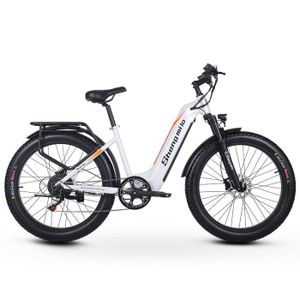 VÉLO ASSISTANCE ÉLEC Vélo électrique pour adultes, 1000W crête, SAMSUNG 17.5Ah 840WH Li-Battery, 26