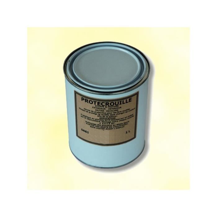 Vernis Fer 1L