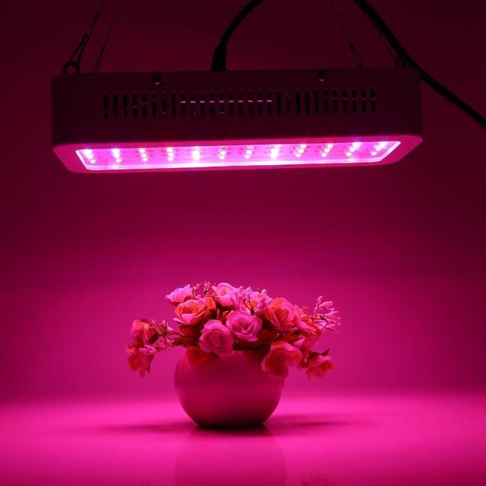 85-265V 600W spectre complet 60 LED plante élèvent la lampe légère pour la culture hydroponique Vegs floraison croissance EU Plug