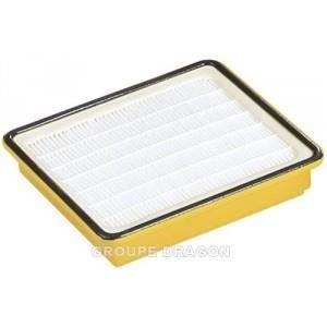 Filtre hepa moteur telios s53 pour aspirateur H…