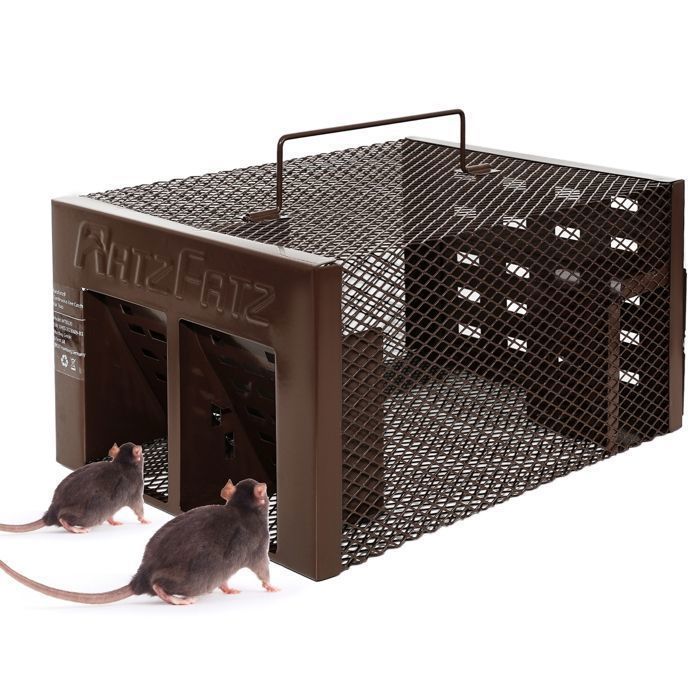 Ratzfatz Piege a Souris Vert, 25 × 7.5 × 8 cm Piège à Rat Réutilisable, Ajustable, No Kill Cage Rongeur pour Attraper Les Souris Les Rats et Autres Rongeurs de Taille Similaire