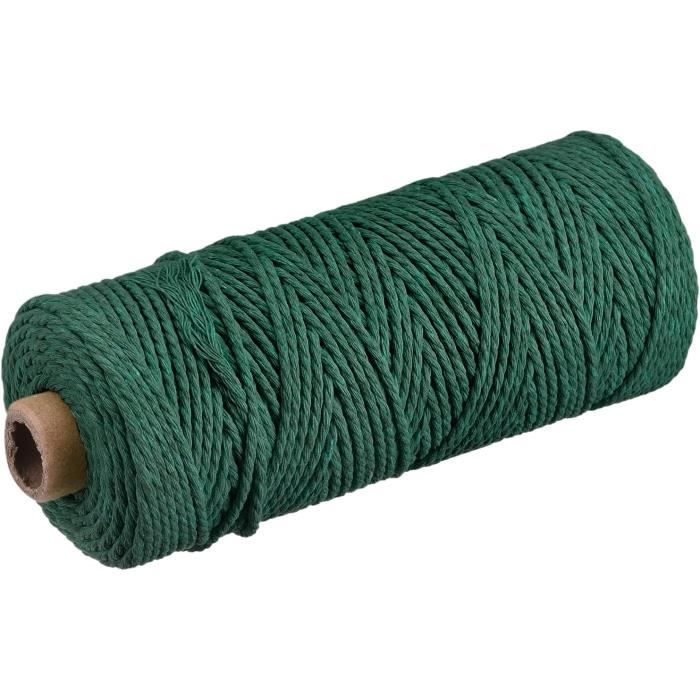 Muserolle Tressée Nylon Cheval - Vert/Hunter/Teal - Taille Moyenne - Challenger 606RT29