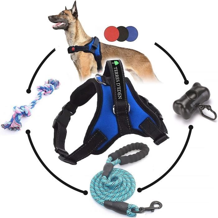 ® Harnais Gros Chien, Arnais Réglable Pour Grand Chien Idéal Pour Berger Allemand, Golden