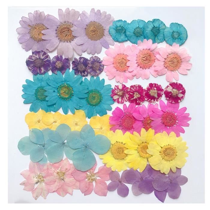 Aboofx Presse à fleurs pour adultes, 6 couches, 30 x 17 cm, kit de pressage de fleurs en bois avec outils et boîte cadeau, kit de préservation des fleurs de mariage, idéal