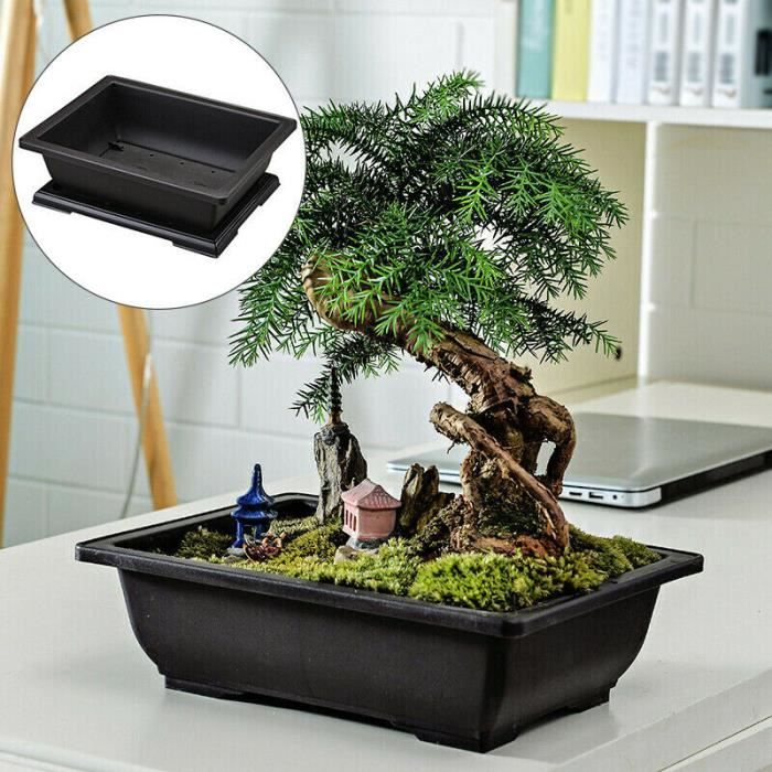 Pot rectangulaire pour plantes et bonsaï en plastique noir cm. 20, 5,50 €