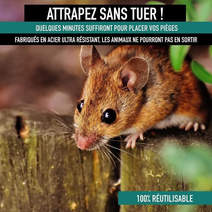 Piege à Souris-Piège a Rat X2 - Cage Anti Rongeurs Réutilisable