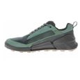 Chaussures ECCO Biom 21 X Mountain Gris,Vert - Homme/Adulte-2
