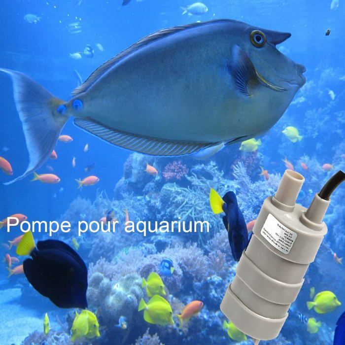 Pompe Submersible DC 12V 600L/H - Petite Pompe à Eau Pour Aquarium, Jardin, Étang Et Fontaine