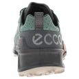 Chaussures ECCO Biom 21 X Mountain Gris,Vert - Homme/Adulte-3