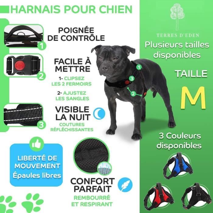 ® Harnais Chien Moyen, Arnais Réglable Pour Chiens De Moyenne Taille Idéal Pour Staffie