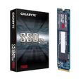 GIGABYTE - SSD Interne - 256Go - M.2 NVMe (GP-GSM2NE3256GNTD)-4