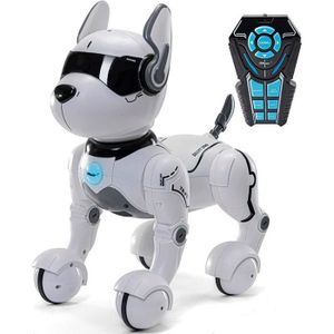 Garosa Robot de danse musicale chien jouet de chiot interactif en plastique  jouet de chien de chant intelligent pour bébé enfant, chien robot, chien de  danse 