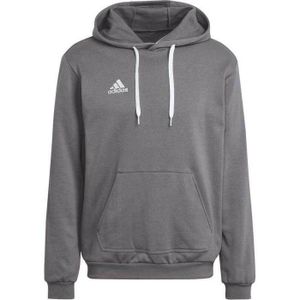 PULL Pull molletonné adidas Entrada 22 Sweat Hoodie HB0