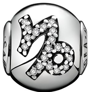 charms pandora capricorne charms pandora capricorne