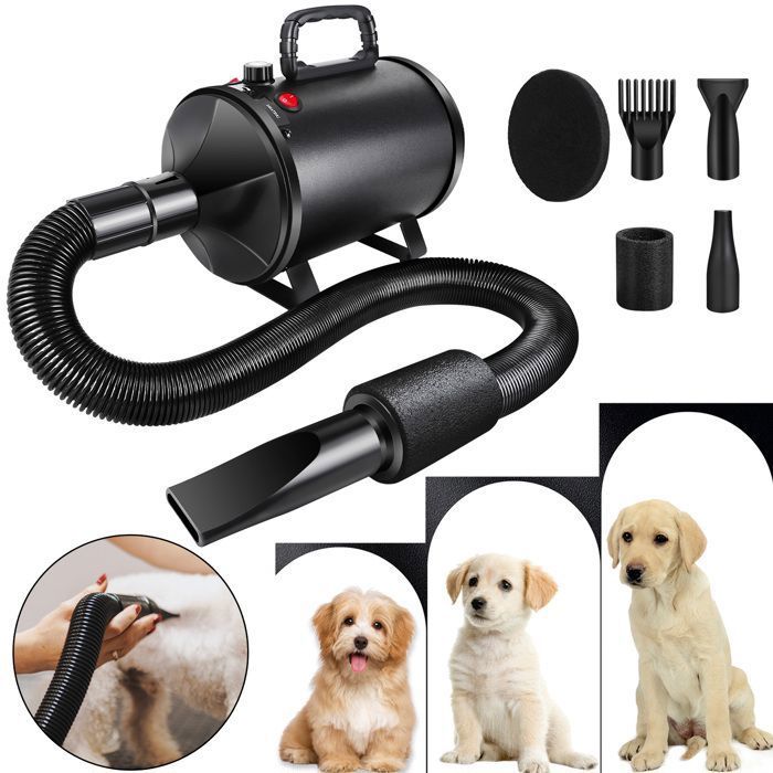 Meilleurs prix pour 2800W Souffleur pourchien, Sèche-Cheveux pour Chien, Chien Séchoir Sèche-Poils Toilettage Sèche-Cheveux pour Chien Chat Animaux