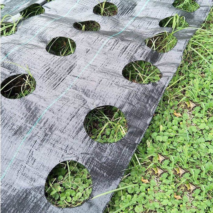 SPARKFIRE Lot de 20 anneaux de paillage non tissés de 27,6 cm, tapis de protection biodégradable réutilisable pour protéger les racines des mauvaises herbes