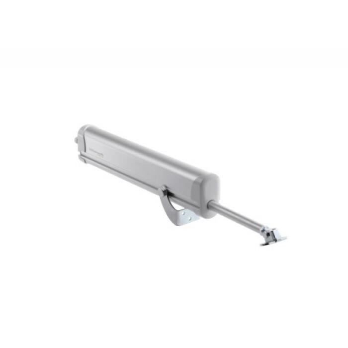 Verin Electrique Type Raywin Course 235 300 Mm En 450 N 220