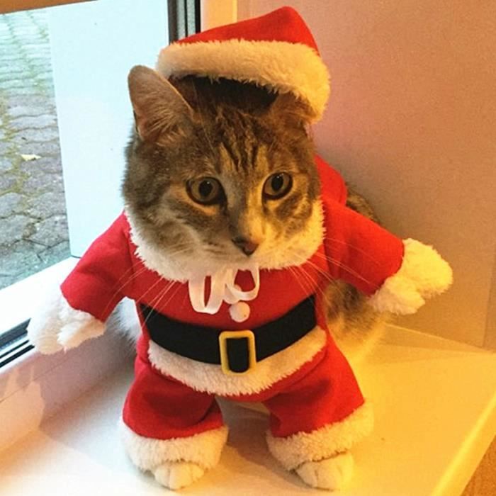 Manteau Blouson Costumes De Noel Chat De Noel Vetements Amusants Pour Petits Chats Chiens Nouvel An Animal De Type Rouge Xl Cdiscount