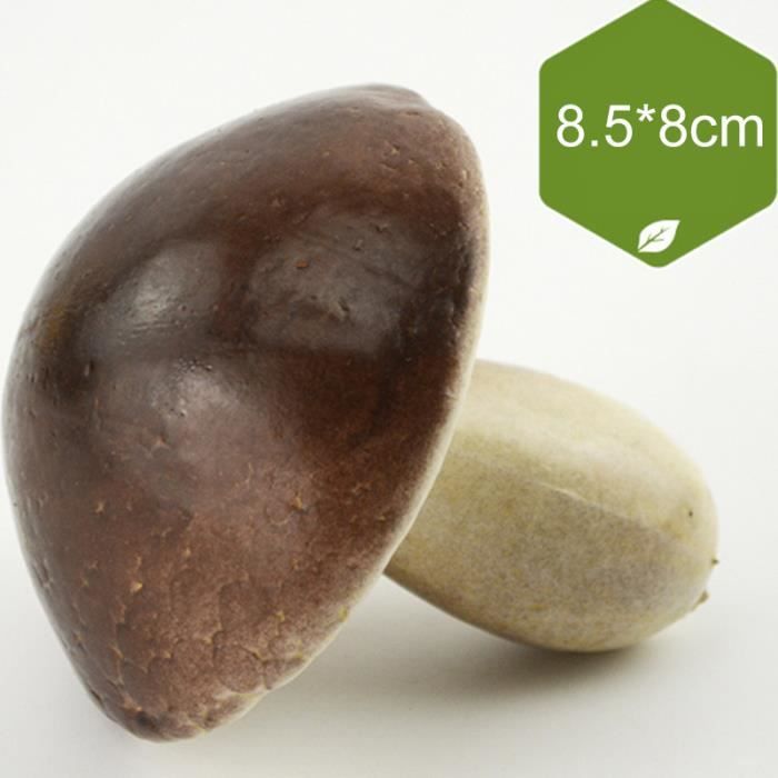 Champignon Cotylidies Mousse Sol - Photo Gratuite Sur Pixabay - Pixabay