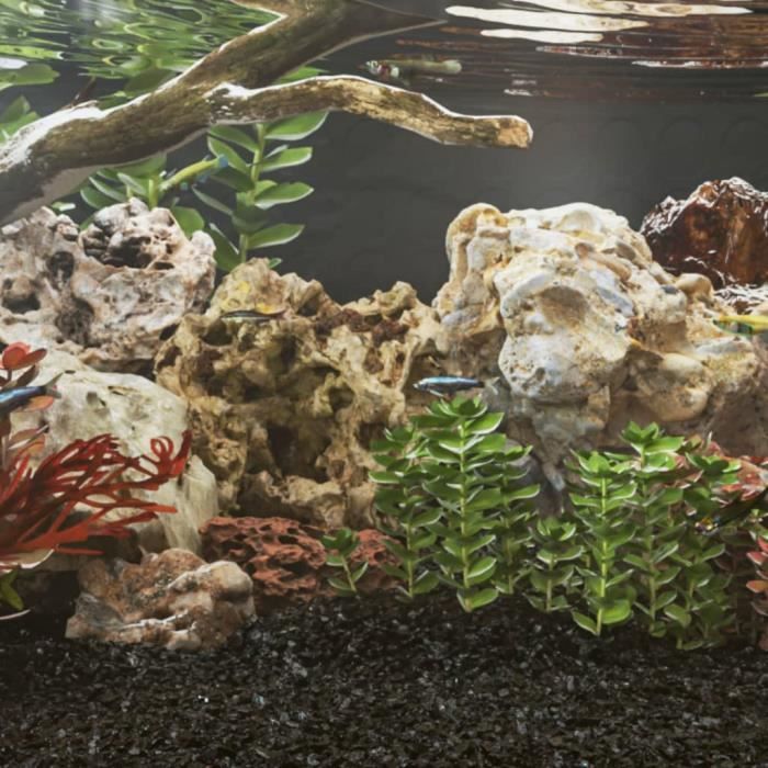 VidaXL Pierres Dragon Aquarium 25 kg