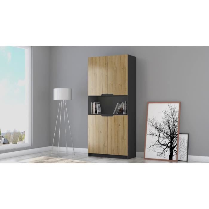 Vladon Armoire de bureau Rangement Logan V2 Corps en Noir mat