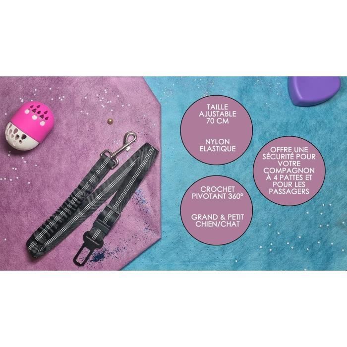 Accessoire Voyage Chien Sécurisé Toozey Sangle De Sécurité Pour Chien Avec Système D'absorption Des Chocs Et Mousqueton Solide Réglable Pour Chien Et Chat Accessoire Voyage Animal Accessoire Voyage Chien Sécurisé Toozey Sangle De Sécurité Pour Chien Avec Système D'absorption Des Chocs Et Mousqueton Solide Réglable Pour Chien Et Chat Accessoire Voyage Animal