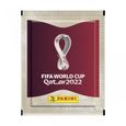 Boite de cartes de 100 pochettes  à collectionner PANINI - World cup 2022-2