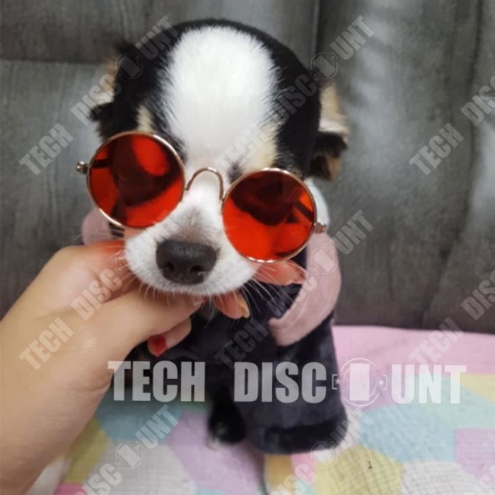 Lunette de soleil pour chihuahua shop